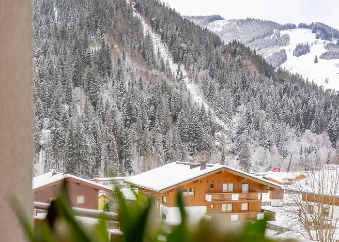 Residenz Am Erzbach 2a Appartement *